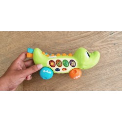 Crocodile