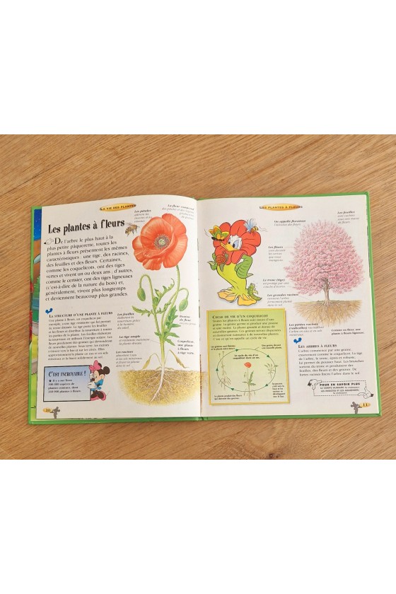 Livre