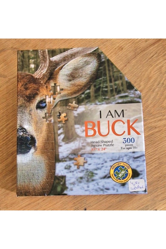 Puzzle X300